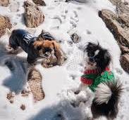 DO I NEED A COAT?