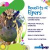 Magnum Bottle Top Flyer Rubber Flying Disc for Heavy Chewers | Large | USA Made