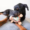 Steel Dog - Roper Flat Sport Bear