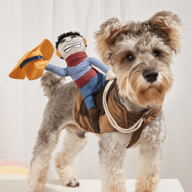 Cowboy Rider Pet Costume, Funny Dog Costume For Small Medium Dogs & Cats, Pet Clothes (Color: Mixed Color, SIZE: S)