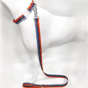 Blue-Orange Gradient Dog Collar & Leash Set, Waterproof Wear-Resistant TPU, Transparent Quick-Release Buckle, for Small & Medium Dogs (SIZE: M)